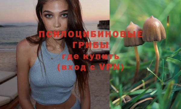 альфа пвп Михайловка